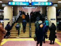 博彩-北京首钢园乒乓球比赛最新消息