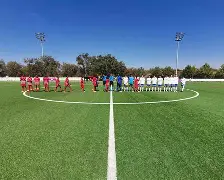 巴拉圭球队阵容