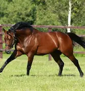 博彩平台网址-魔术客场遭遇溜马绝杀,失去比赛的球员